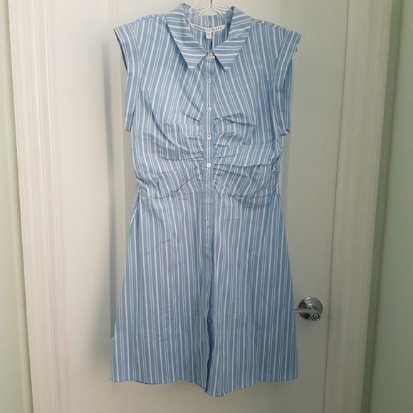 NEW Veronica Beard Blue Ferris Ruched Shirtdress 8 - Picture 7 of 11